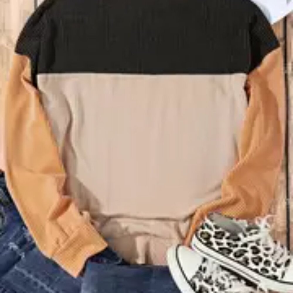 Color Block Crew-neck Long-sleeved Ribbed Color Contrast Loose Fit Tee Shirt - Picture 6 of 9